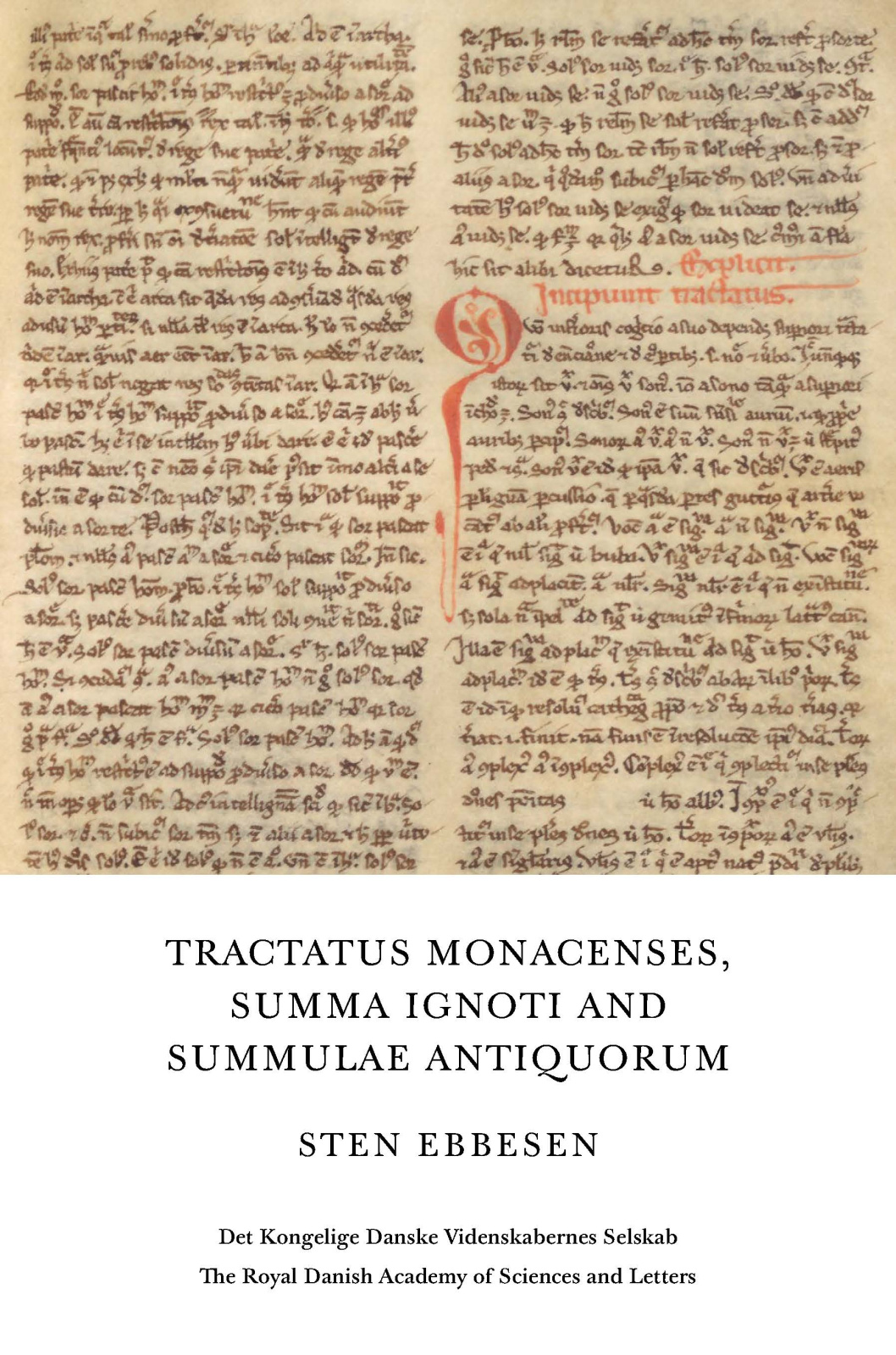 Tractatus Monacenses, Summa Ignoti and Summulae Antiquorum