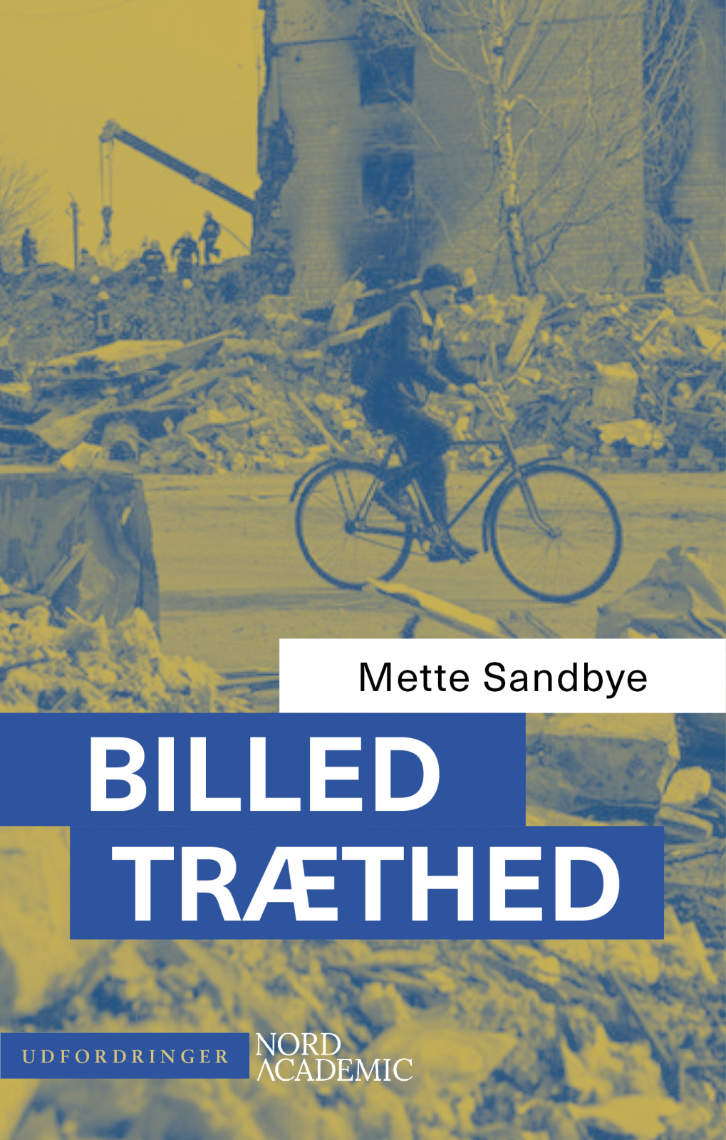 Billedtræthed